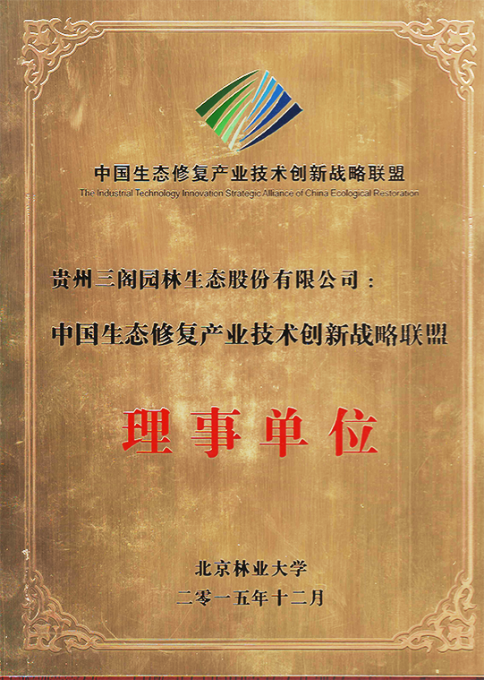 �޸�����